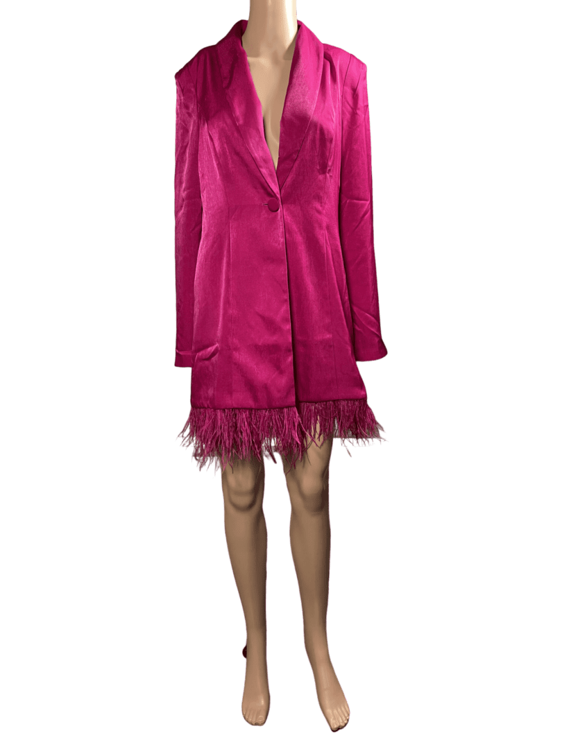 Pink satin dress with feathered hem and long sleeves.