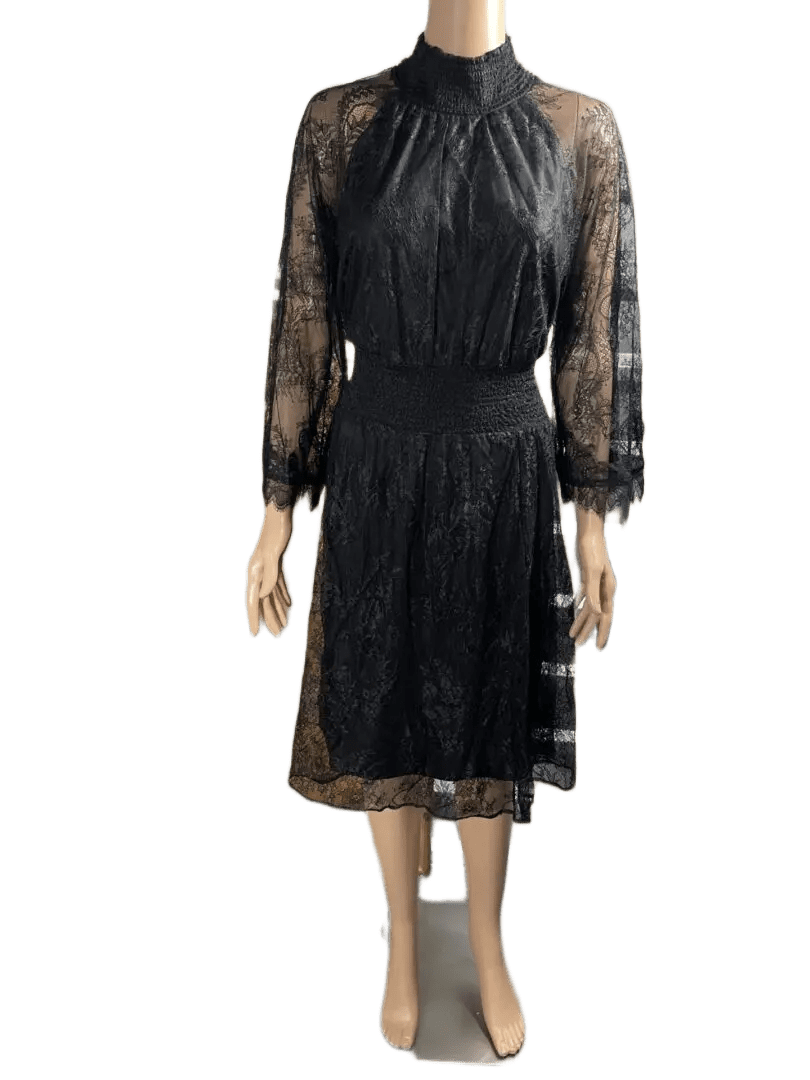 Elegant black lace dress with sheer long sleeves and a midi length.